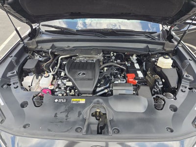 2025 Lexus TX TX 350